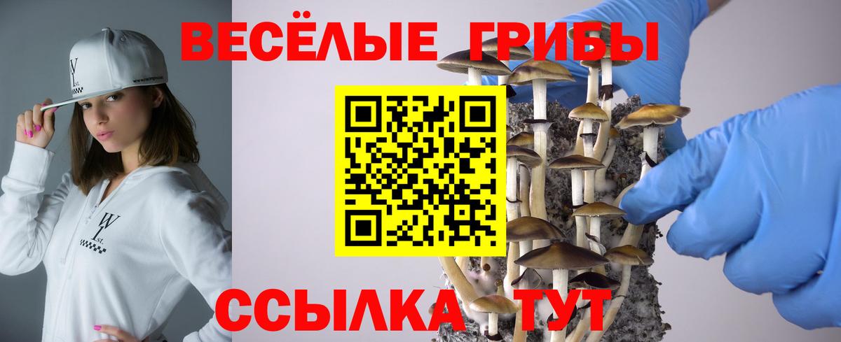 Галлюциногенные грибы Cubensis Тельмана