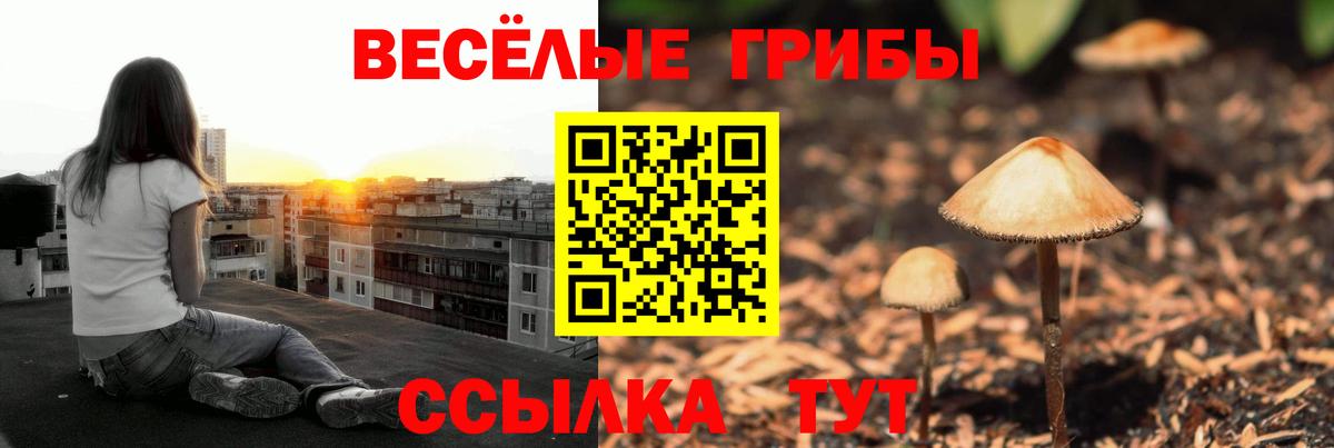 Галлюциногенные грибы GOLDEN TEACHER  Вход с VPN  Тельмана 